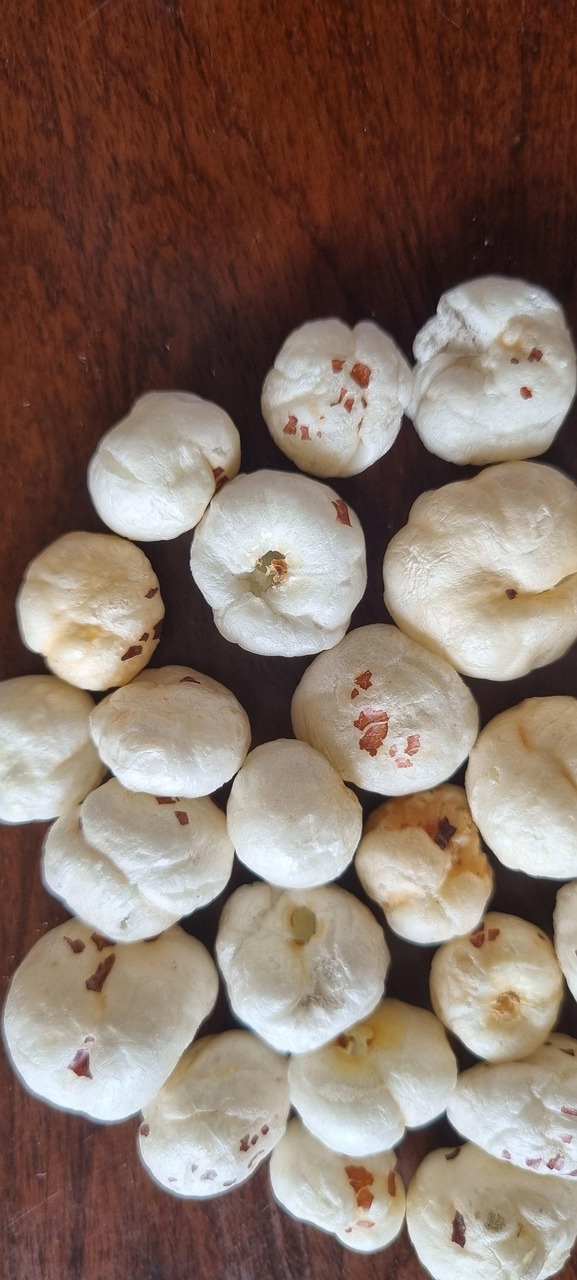 fox nuts, makhana, prickly water lily nuts, prickly waterlily nuts, euryale ferox, fox nuts, fox nuts, makhana, makhana, makhana, makhana, makhana